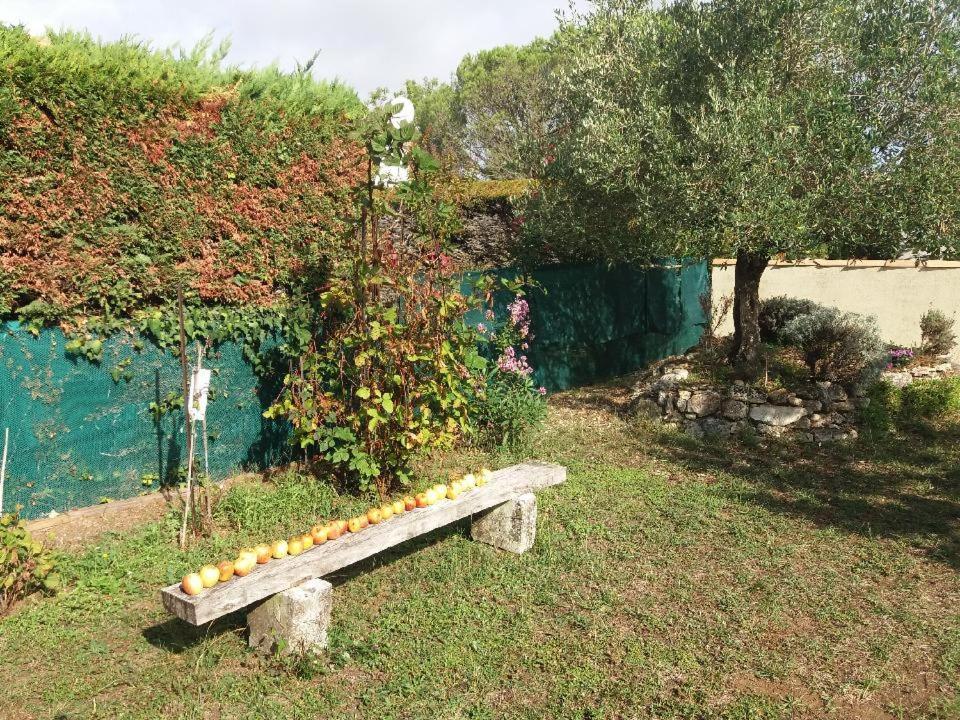 Le Clos De La Plage - Villa Vintage Avec Jardin Privatif- 500M De La Plage - 6 Personnes Dolus d'Oléron Eksteriør billede